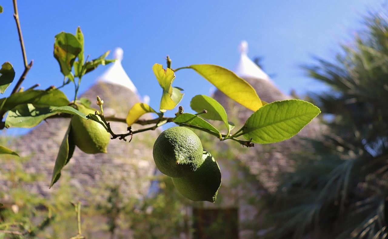Trulli And Nature Antonelli Exterior foto