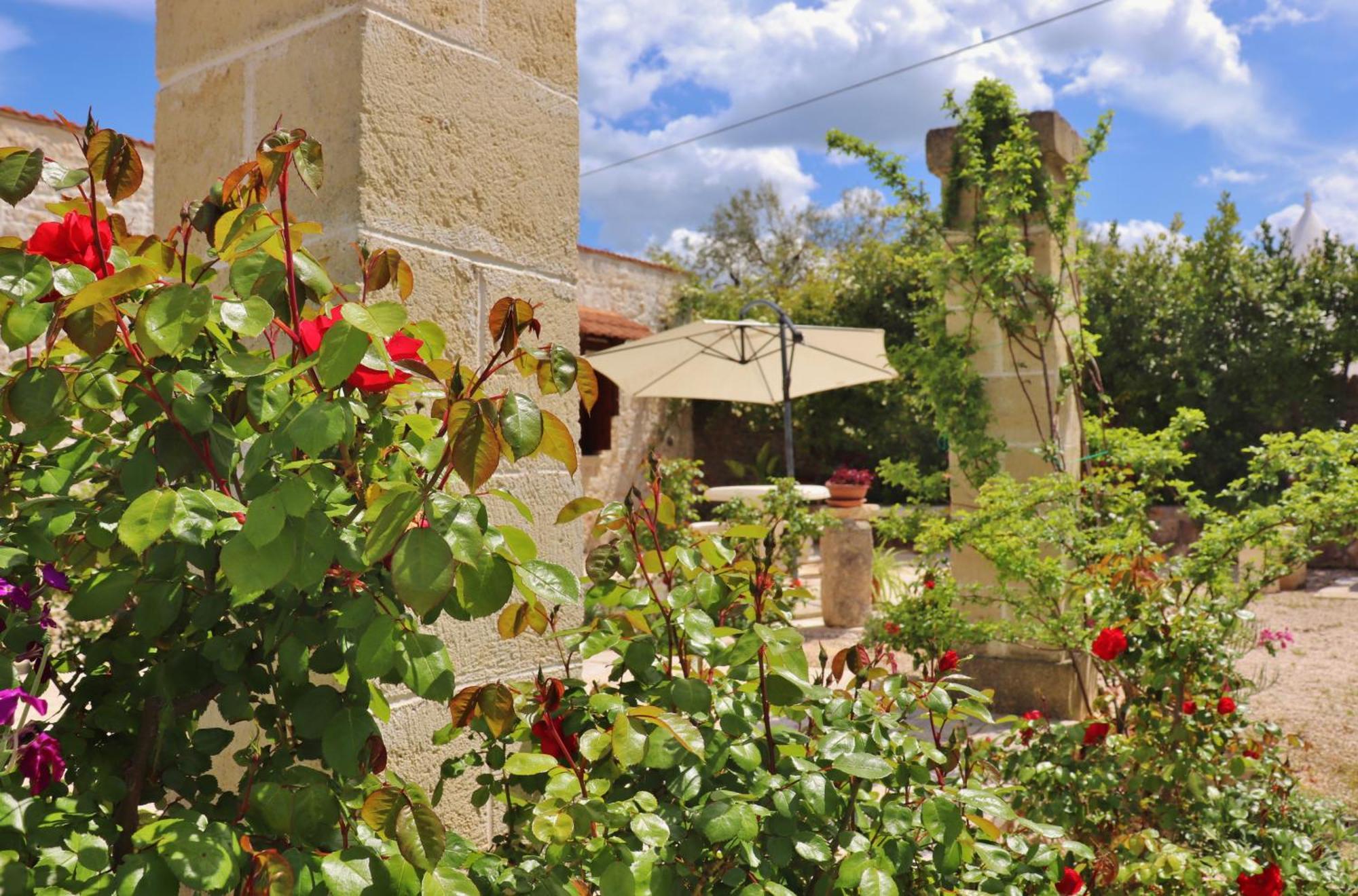 Trulli And Nature Antonelli Quarto foto