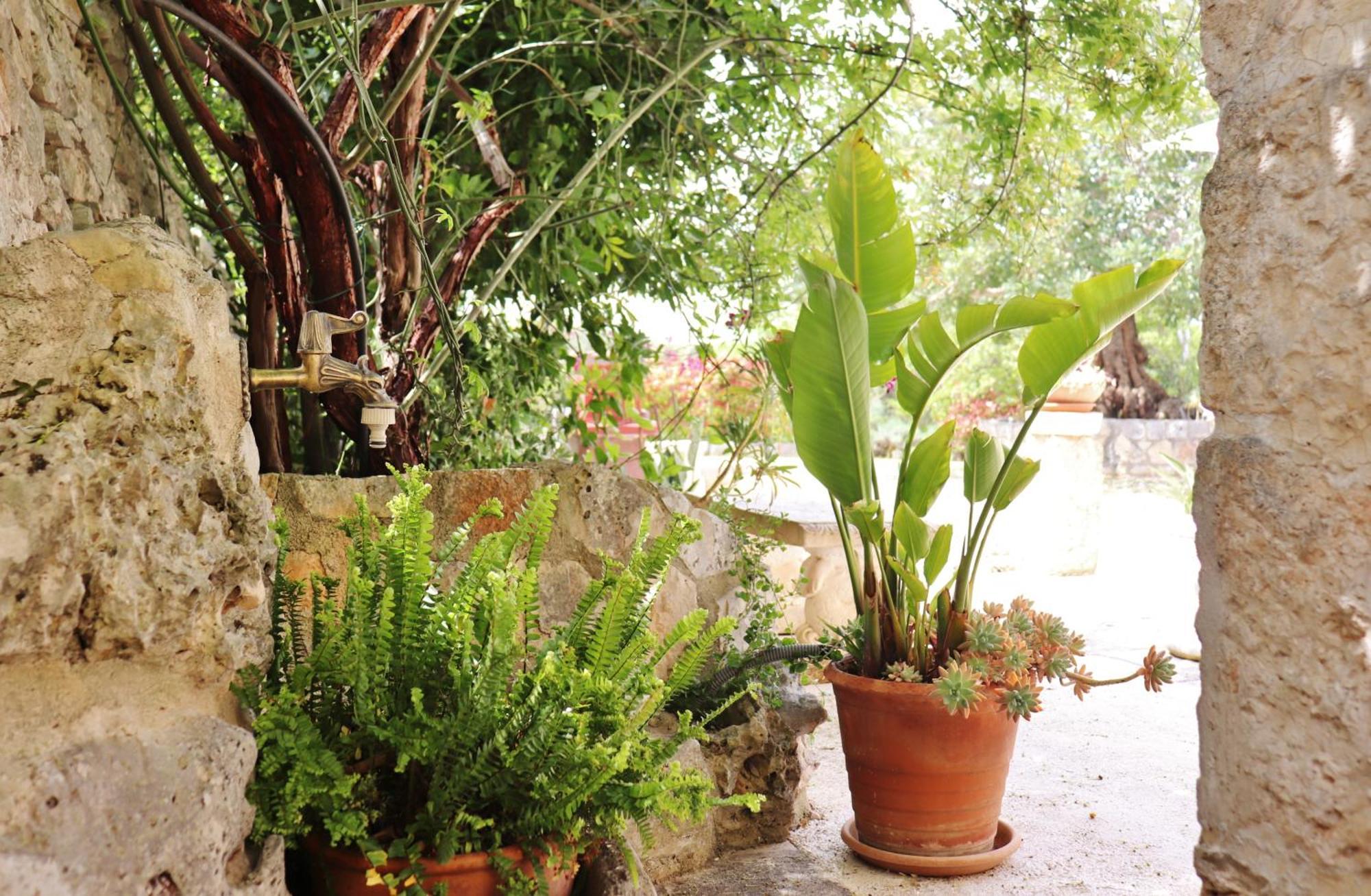 Trulli And Nature Antonelli Quarto foto