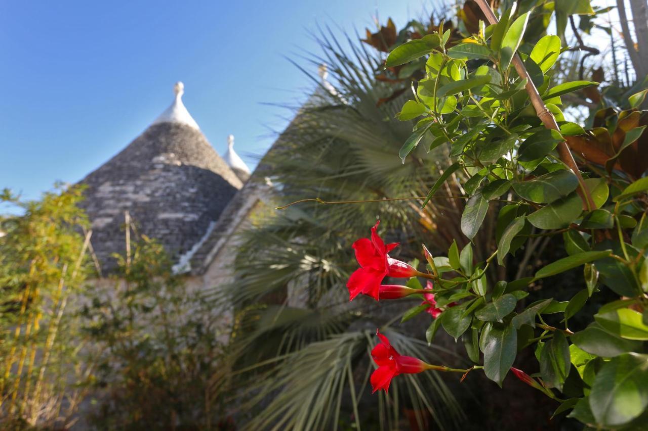 Trulli And Nature Antonelli Exterior foto